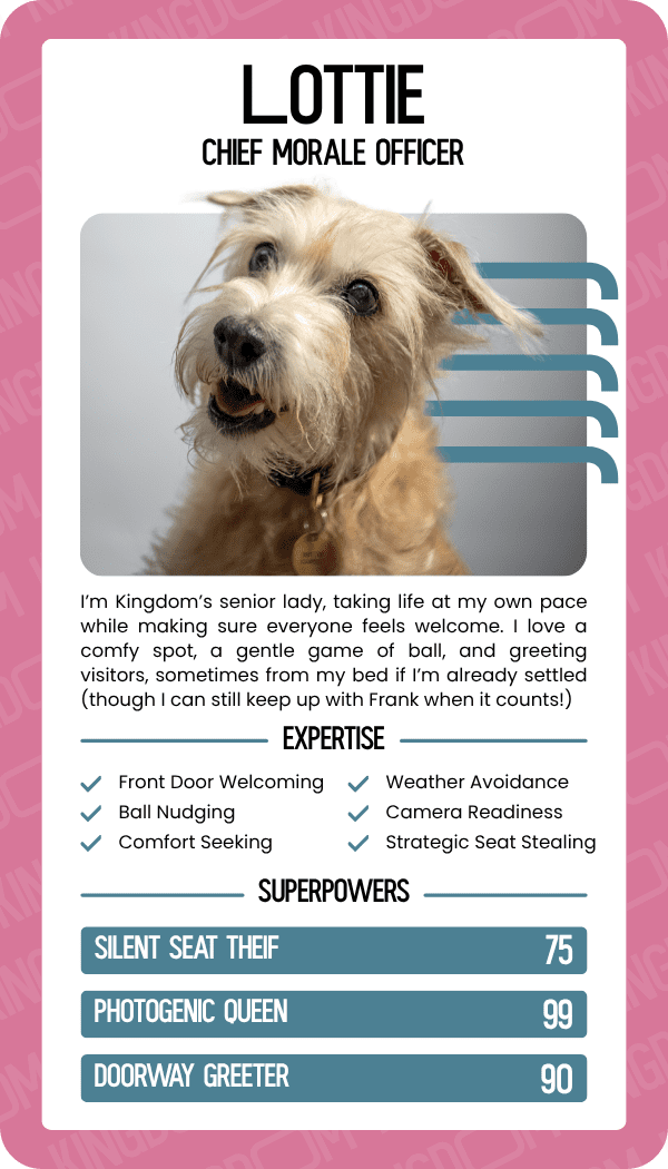 Top Trumps Card for Lottie (the Dog), Chief Morale Officer at Kingdom Creative